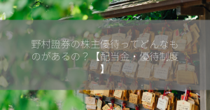 野村證券の株主優待ってどんなものがあるの？【配当金・優待制度】